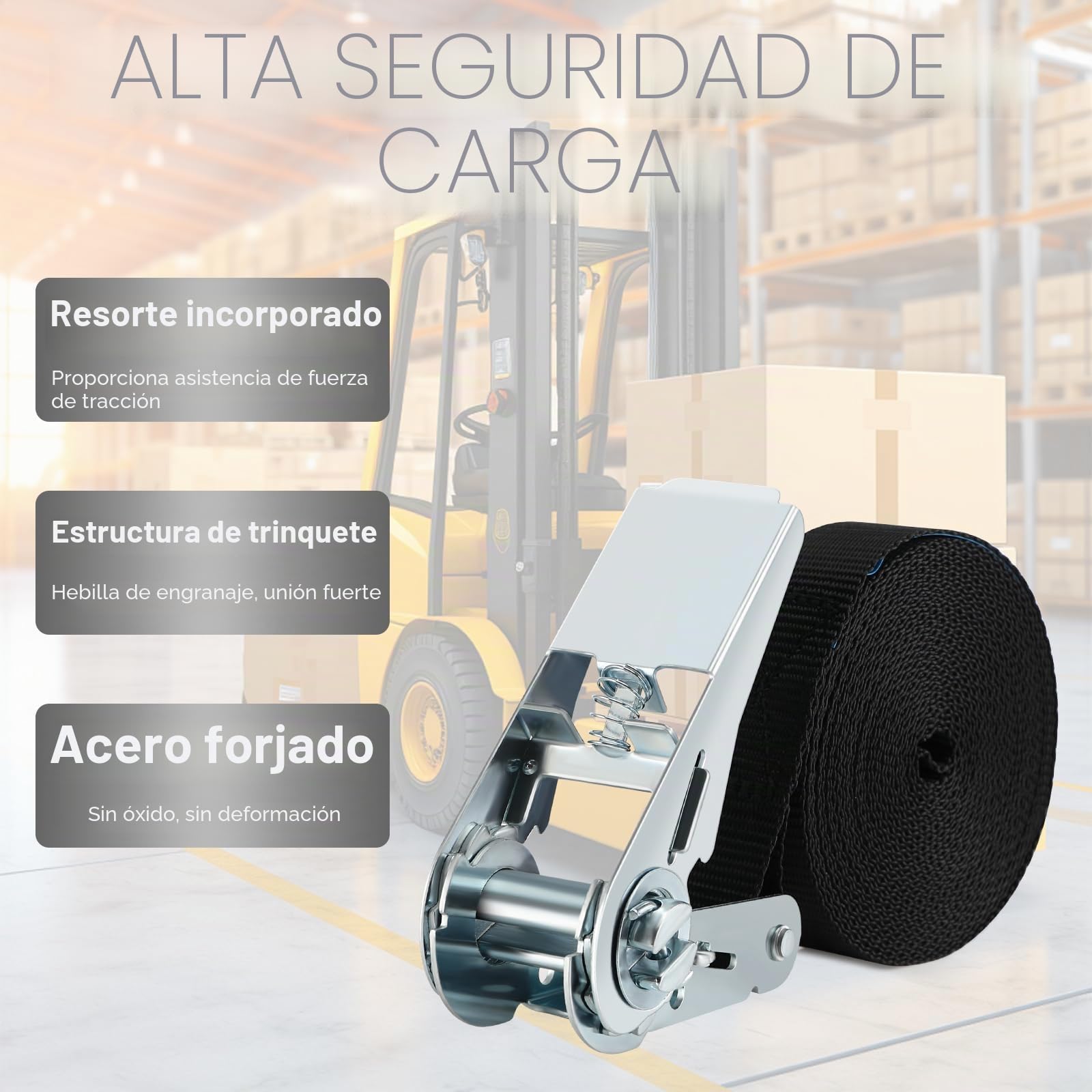 Tapvai Juego de 5 correas tensoras con trinquete, correas de amarre ajustables con cierre de sujeción, soporta hasta 1000 kg, correas de amarre muy robustas, adecuadas para cargas fijas (2.5 cm x 4 m)