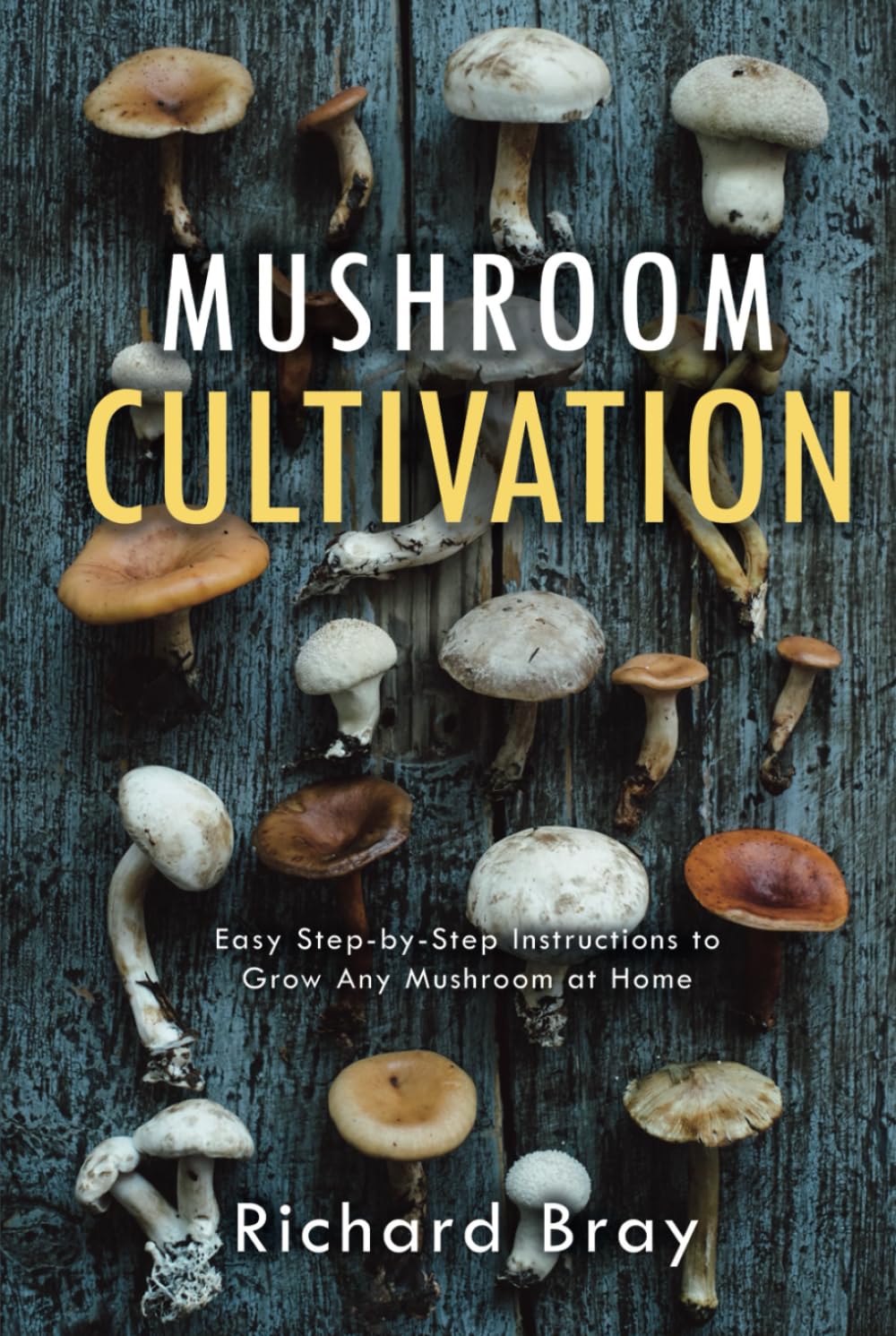 Mushroom Cultivation: 12 Ways to Become the MacGyver of Mushrooms (Urban Homesteading)