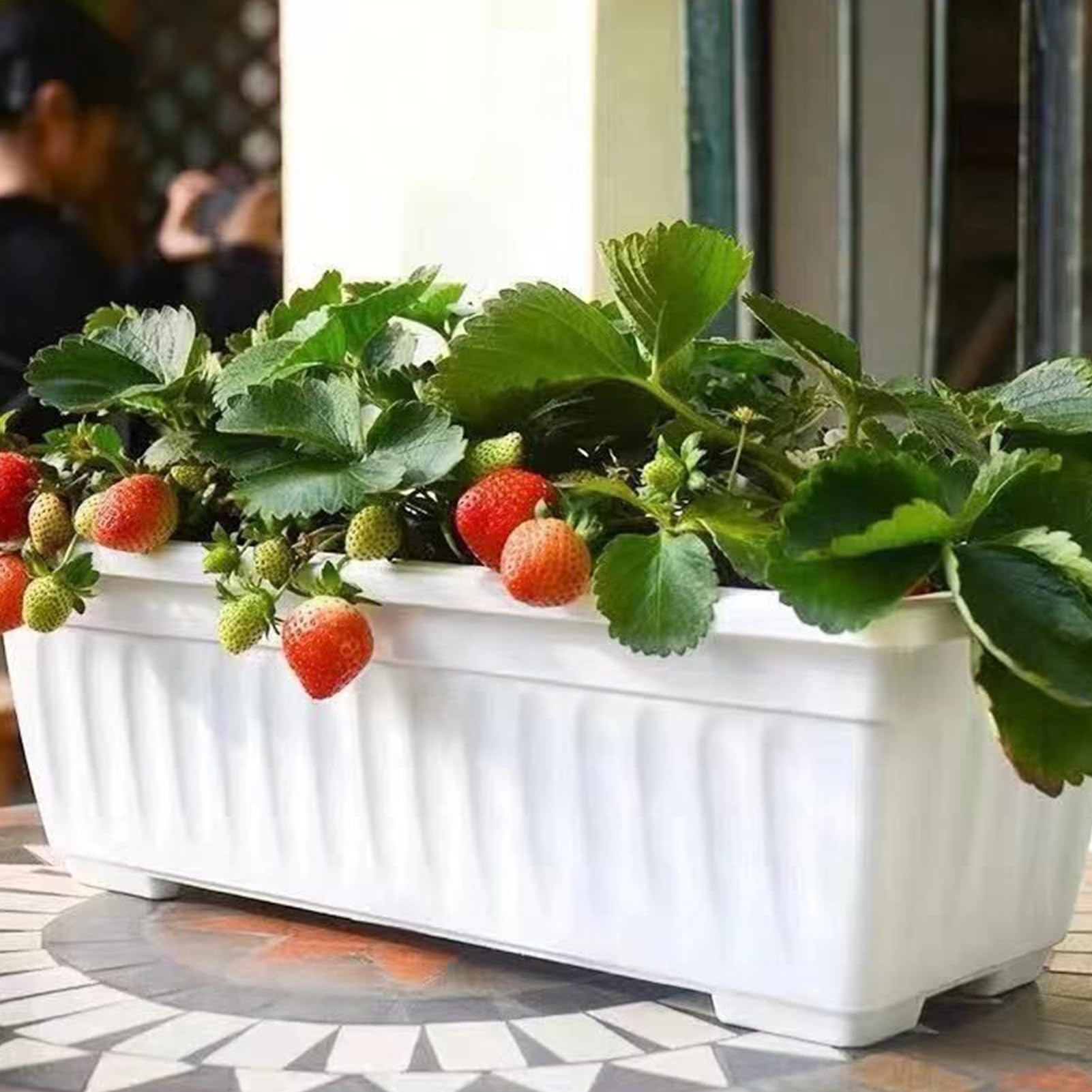 Fioriere Da Davanzale Vasi Per Il Giardinaggio In Contenitore Resistenti Ai