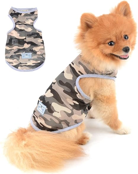 yorkie clothes amazon