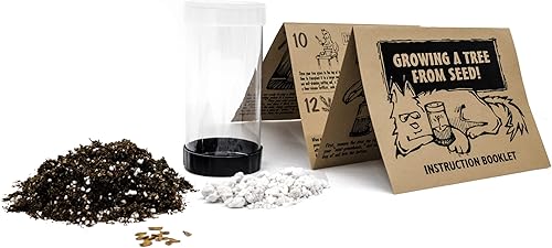 Miniatura 2 de Arce de azúcar de Canadá  Kit de cultivo de semillas de árbol  The Jonsteen Company