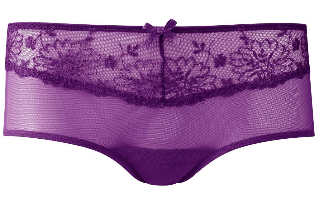 PanacheAriza Lace Brief 5052 Purple 8