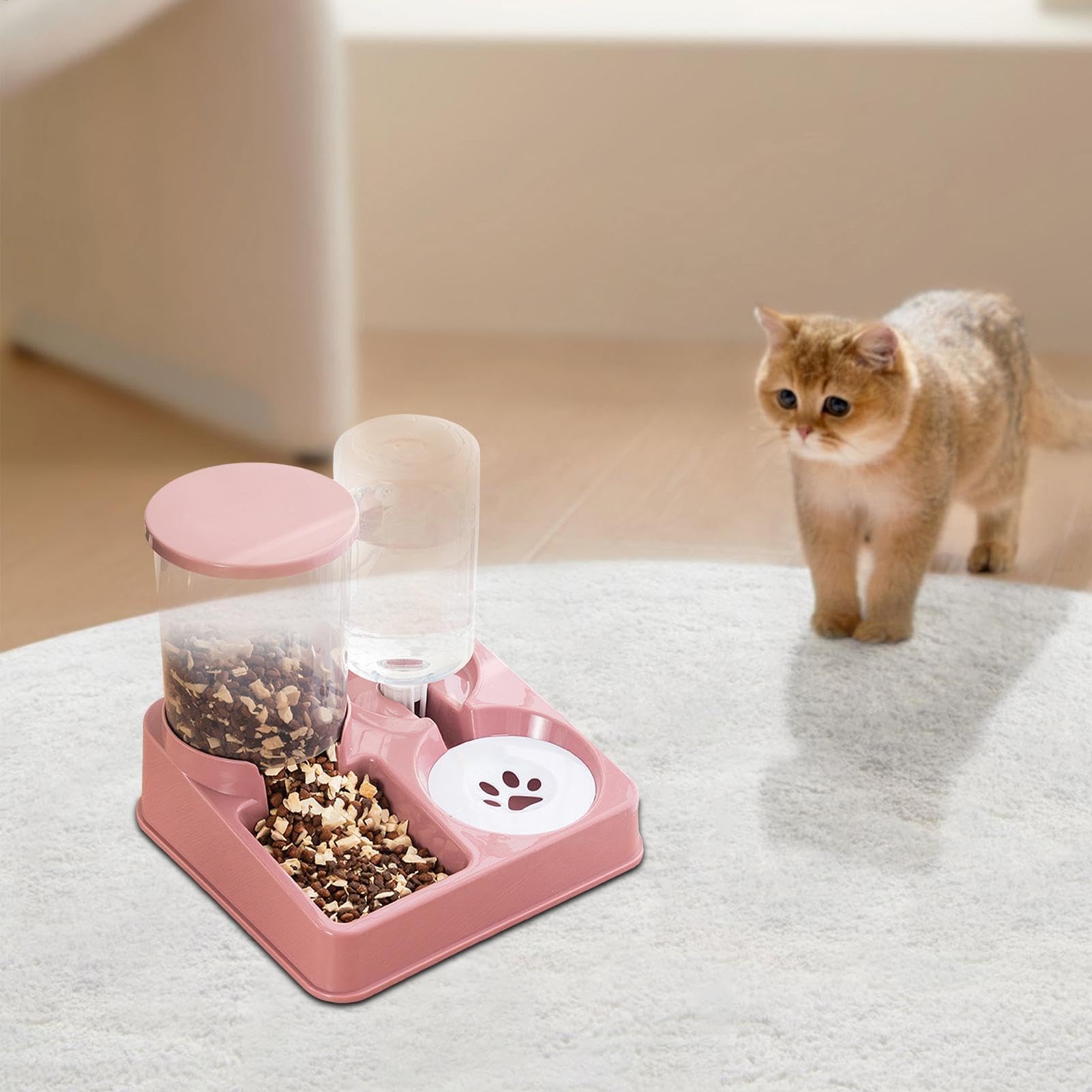 Timer intelligente for pasti(Pink)