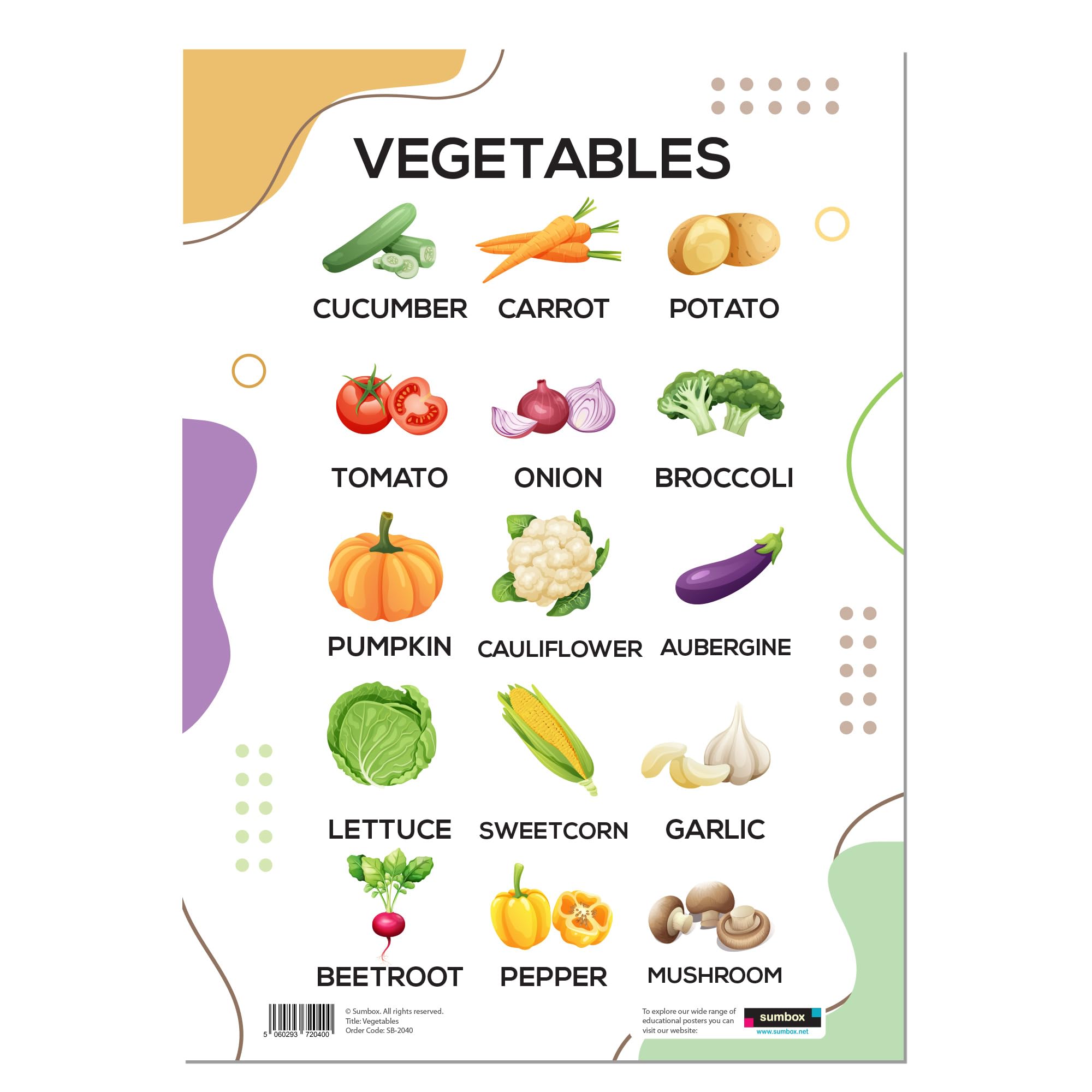 Sumbox Educational A3 Posters for Toddlers - Alphabet ABC, Numbers, Shapes & More - Kids Learning Posters for Children, Early Years Nursery Decor, Preschool Wall Charts (Vegetables)