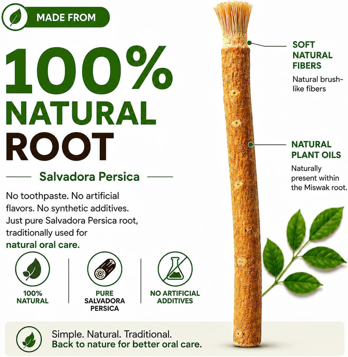 Miswak Sticks for Teeth Pack of 6 with Holder, Natural Toothbrush for Healthy Gums, Teeth and Fresher Breath, Supports Teeth Whitening, Organic Wooden Vacuum Sealed Sticks image 4