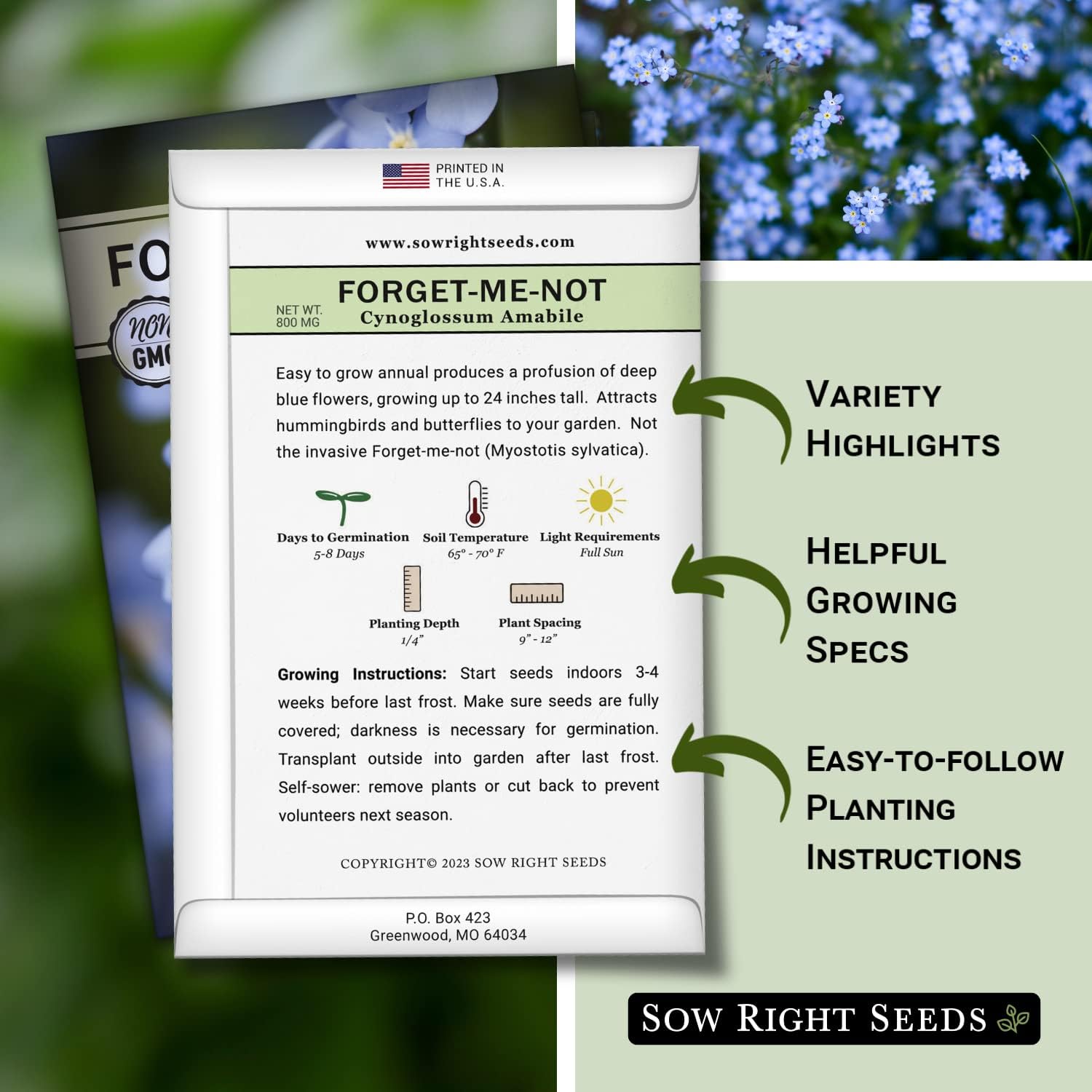 Sow Right Seeds - Forget-Me-Not Seed Packets to Plant (Cynoglossum amabile) - Full Instructions for Planting and Growing a Flower Garden; Non-GMO Heirloom Seeds; Wonderful Gardening Gift (1) : Patio, Lawn & Garden