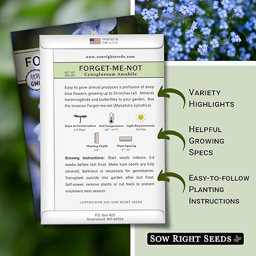 Miniatura 2 de Sow Right Seeds - Semillas de flores Forget-Me-Not para plantar (Cynoglossum amabile) - Paquete de reliquia sin OMG con instrucciones - Ideal para