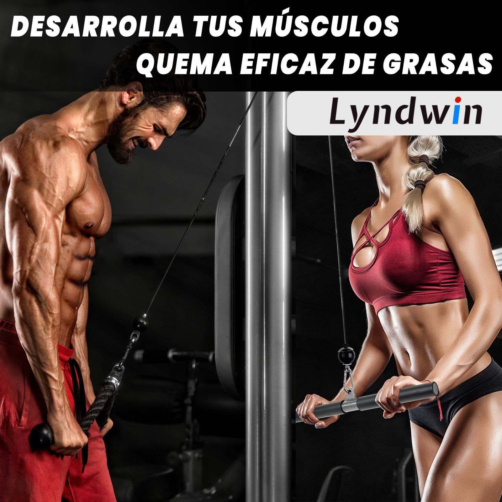 Poleas Gimnasio para Casa, DIY Polea Gimnasio Fitness Máquina Musculacion Gym Cable Kit Sistema en Casa, Brazo Pecho Espalda Tríceps Biceps Ejercicio Workout Accesorios Barra Agarre Polea Gym