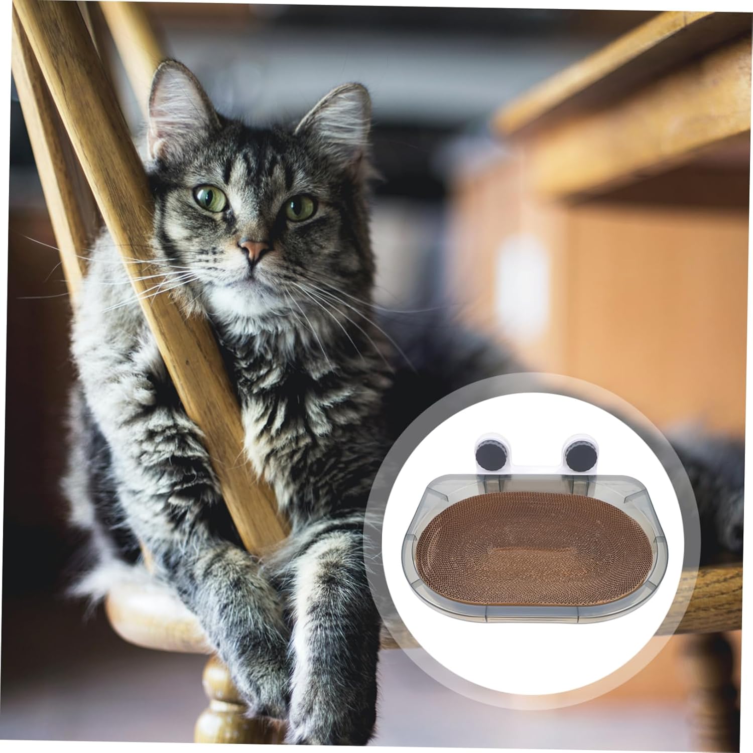 Cat Window Perch with Integrated Scratching Saving Pet Hammock Bed for Large Cats Quick Secure Mounting with Suction Cups for Indoor Window Relaxation