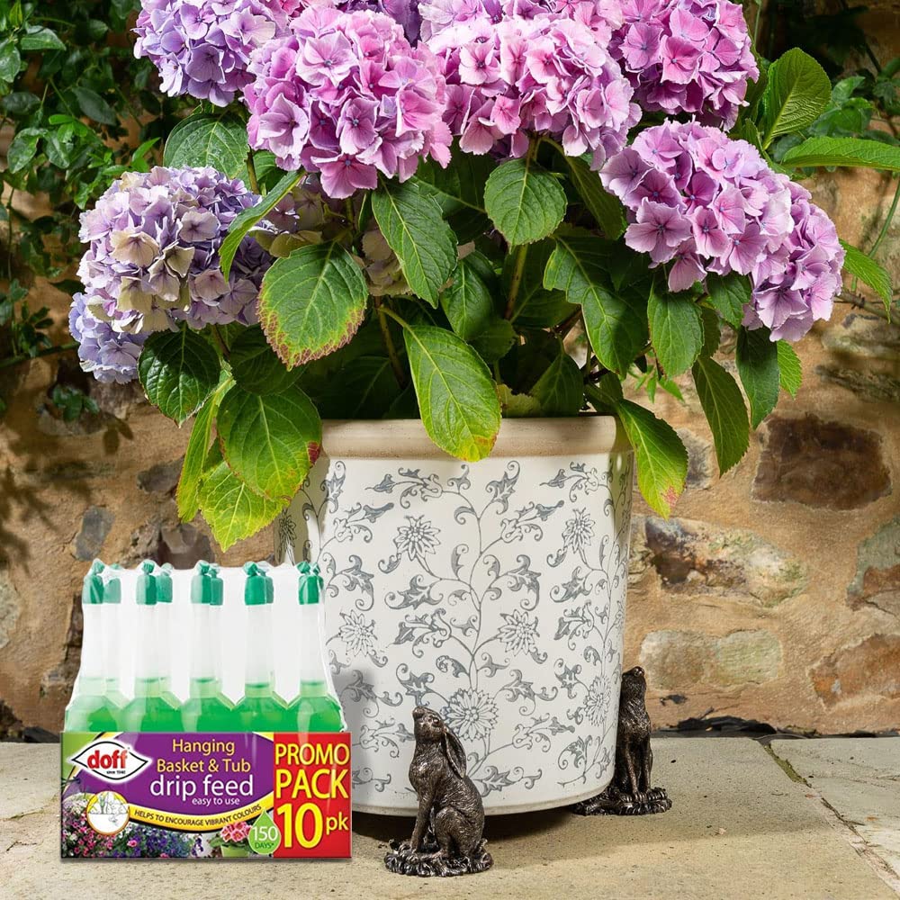 Garden Mile 10 Pack 30ml Plant Drip Feeders For Orchids Indoor Plant