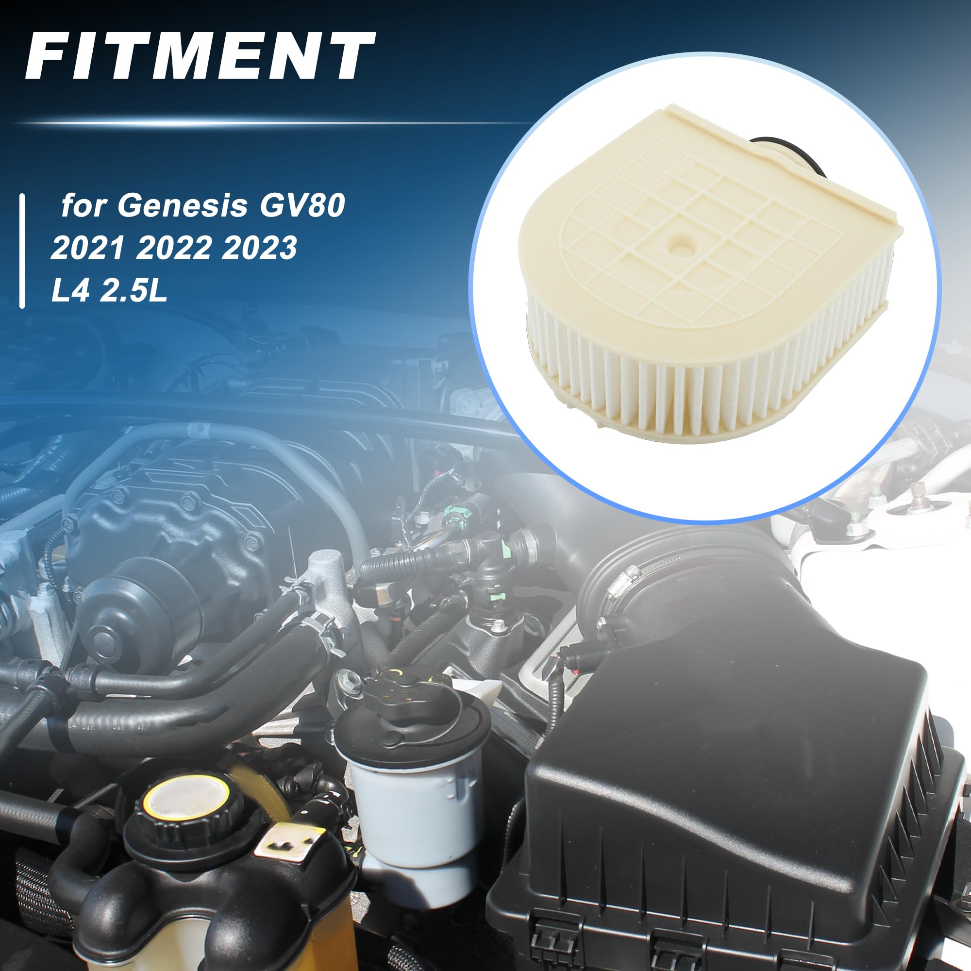 A ABSOPRO 28113T6310 PA99847 Luftfilter für Genesis GV80 2.5L 21-23 2Stk