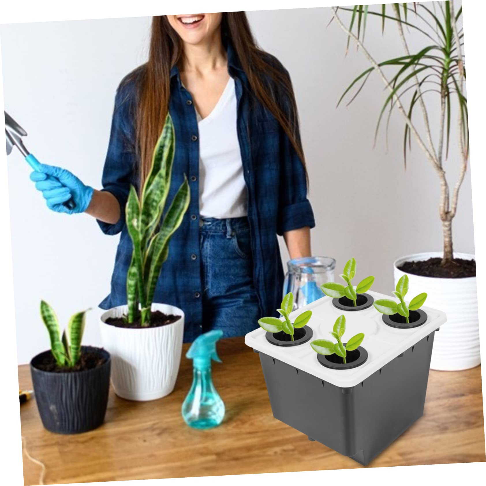 Gatuida Cubo para Cultivo Hidropónico sin Suelo Negro de PP, Estable y Práctico para Flores y Plantas Verdes en Invernadero