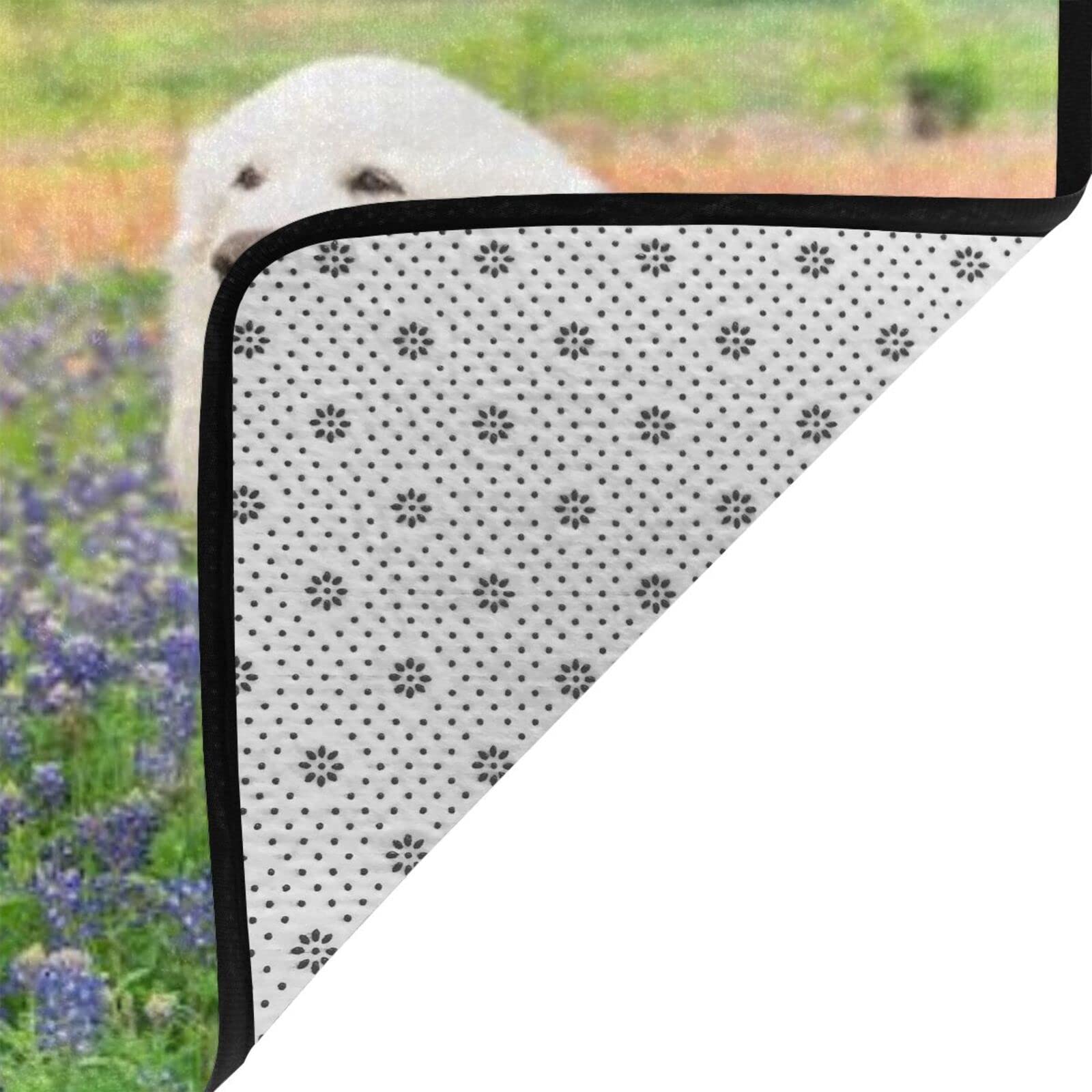 Amazon | グレート・ピレニーズ 花畑 ラグ カーペット 滑り止め付 絨毯