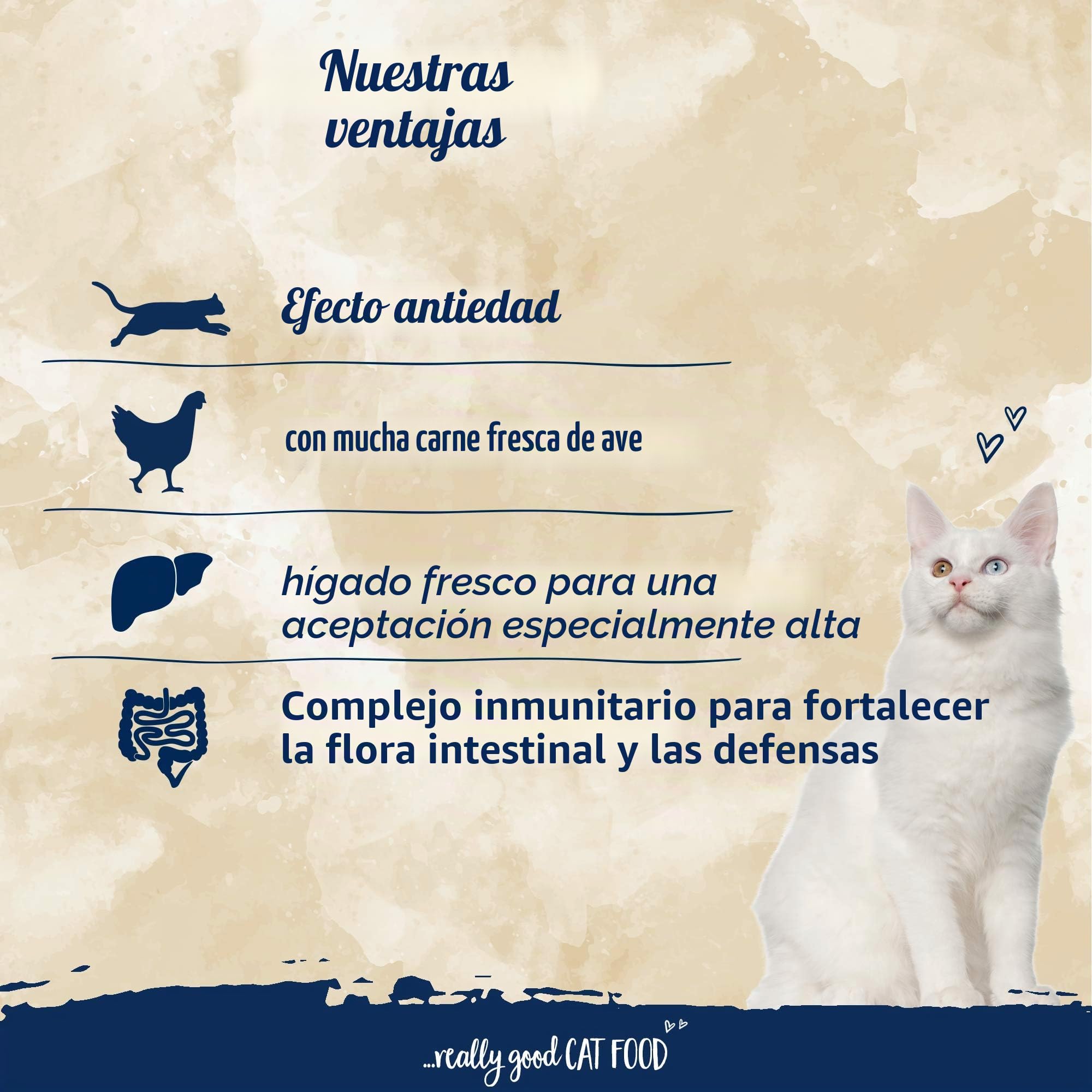 Sanabelle Senior | Comida seca para gatos mayores a partir de 8 años | 1 x 10 kg