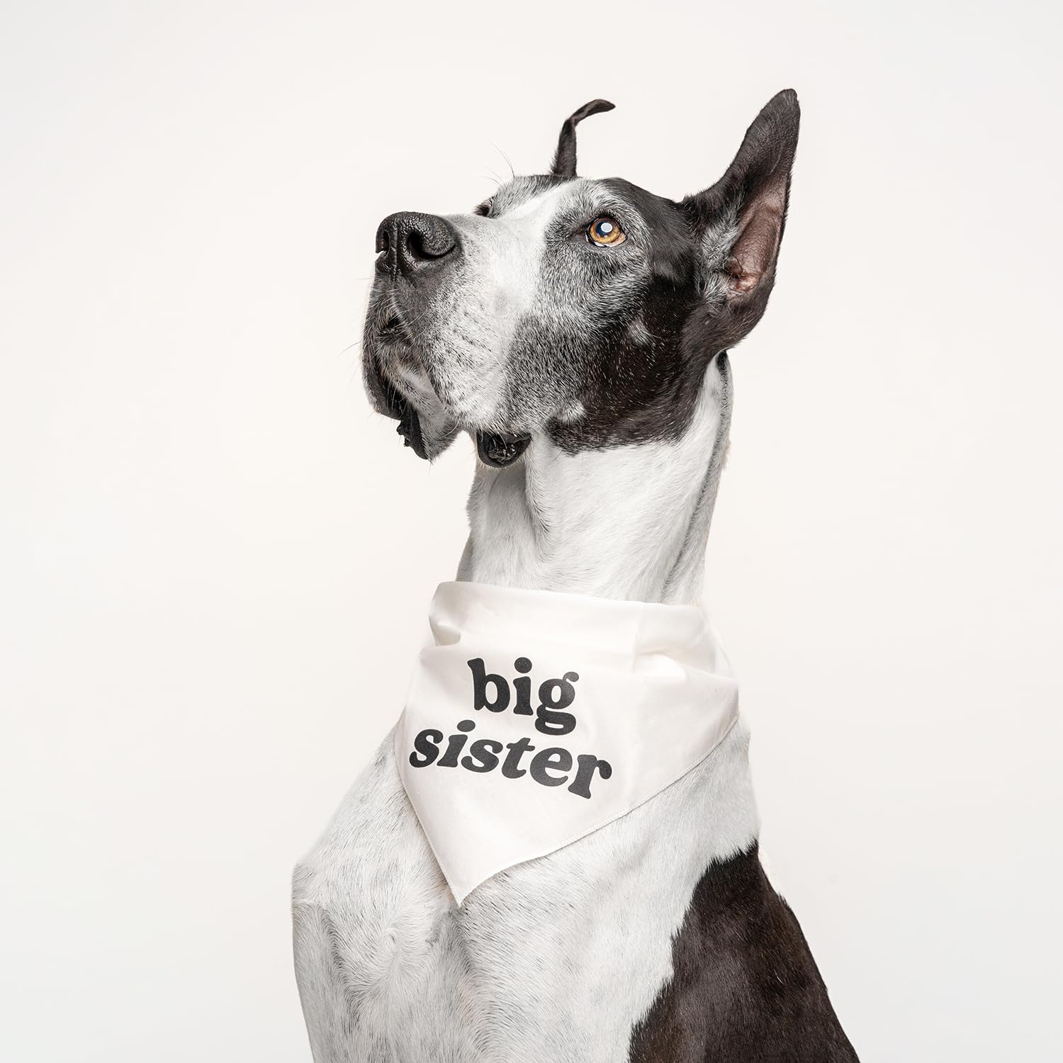 Big Sister Dog Bandana (888 White, X-Small)