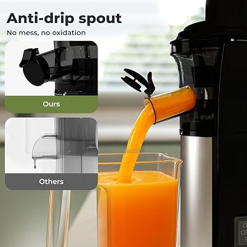 Cold Press Juicer Machines, Automatic Masticating Juicer for Fruits and Vegetables, Powerful Slow Masticating Juicer with Two-layer Filter, High Juice Yield, 2 Cups and Brush