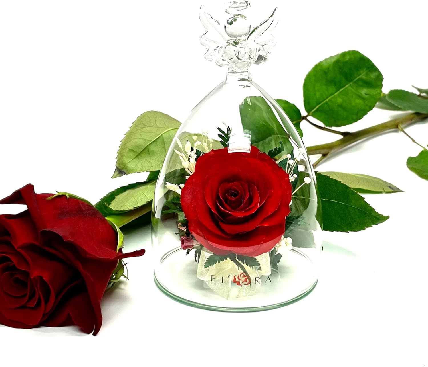 Fiora Flower | Long Lasting Real Roses in a Sealed Vase | Lasts up to 5 Years | Unique Present Gift