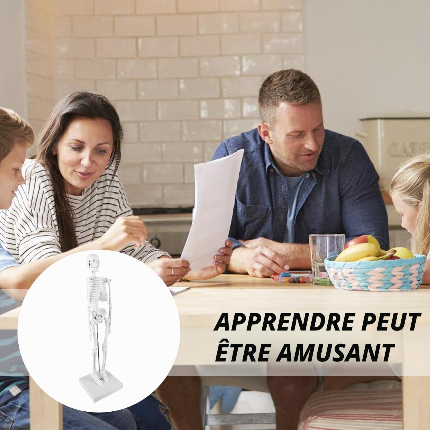 Squelette humain taille grandeur: TOATELU 17,7"(45cm) Modèle de Squelette Humain Médical pour les Etudes Médicales, Modèle Anatomique Pour Enseignement Médical, Education, Présentoir