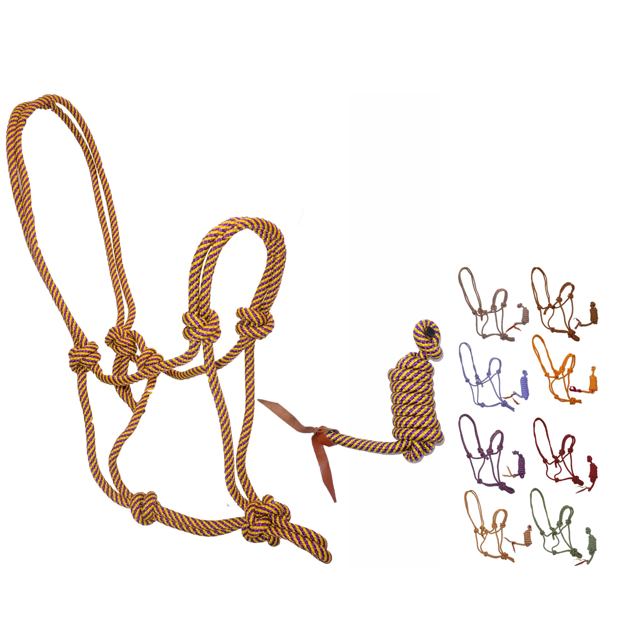 Halter – Two Tone/ Nylon main image 0