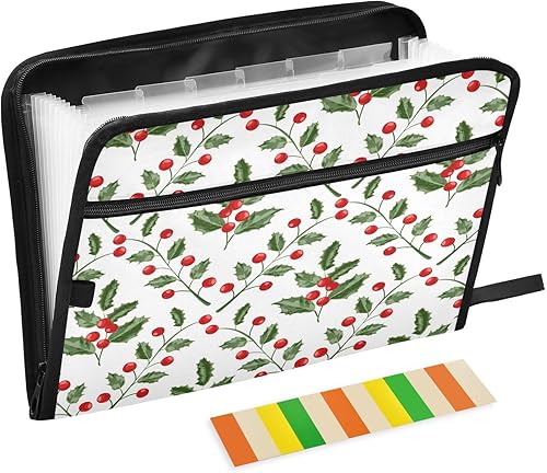 pnyoin Carpeta de archivos expansible, carpetas de acordeón de 13 bolsillos, organizador de documentos con etiquetas de color, cierre de cremallera