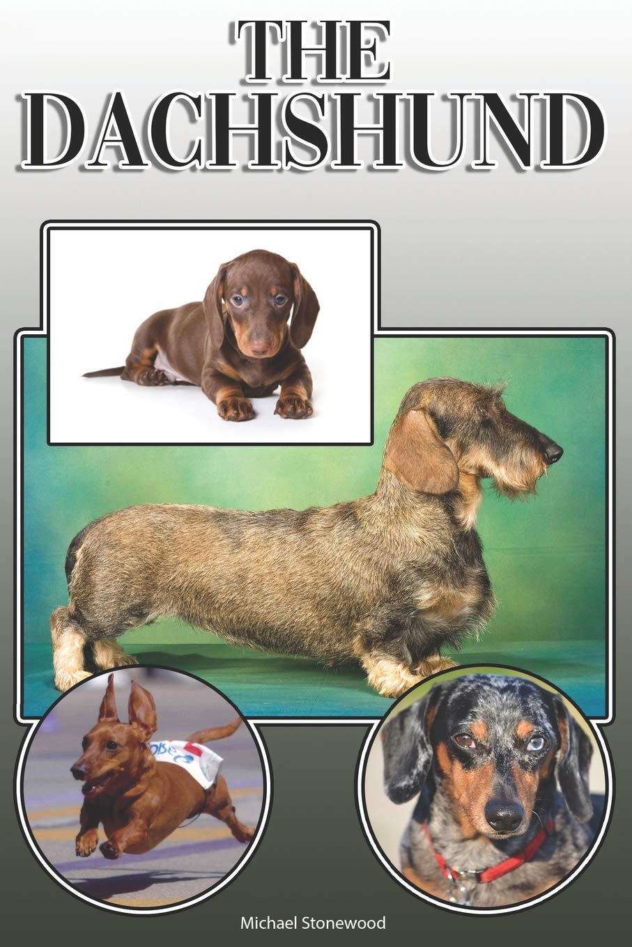The Dachshund: A Complete and Comprehensive Owners Guide to: Buyi