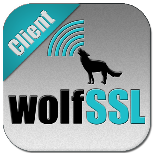 SSL Client - App on Amazon Appstore