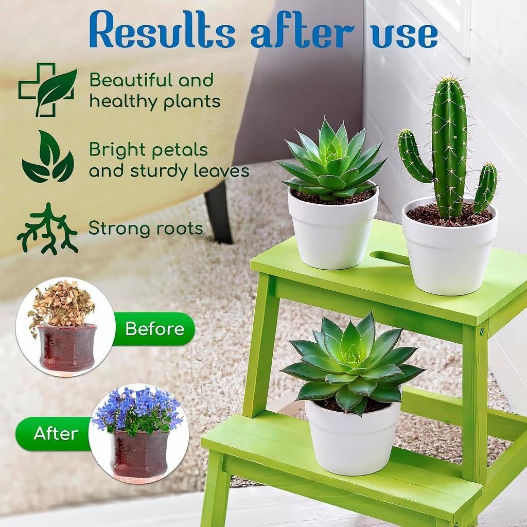 Cactus & Succulent Plant Food | Concentrated Nutrient Solution for Indoor & Outdoor Plants | Made in USA | Promotes Growth & Blooms