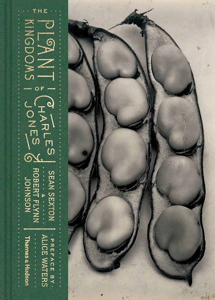 PLANTWORLDS アンドレア・ジョーンズ 植物写真集 洋書 PLANTWORLDS アンドレア・ジョーンズ 植物写真集 洋書