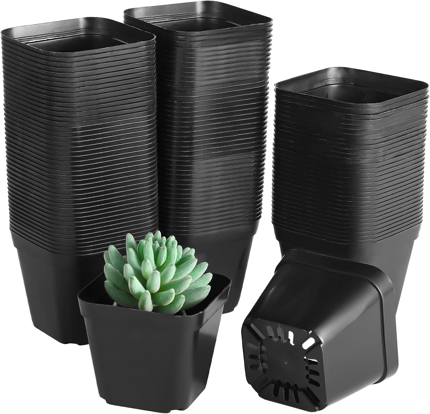 OMISTAR 120 Pcs Small Square Plastic Nursery Pots - 4 Inch Seedling Plant Pots with Drainage Holes, Reusable Grow Containers for Succulent Propagation, Flowers, Bulk Seed Starting Kits - Image 2