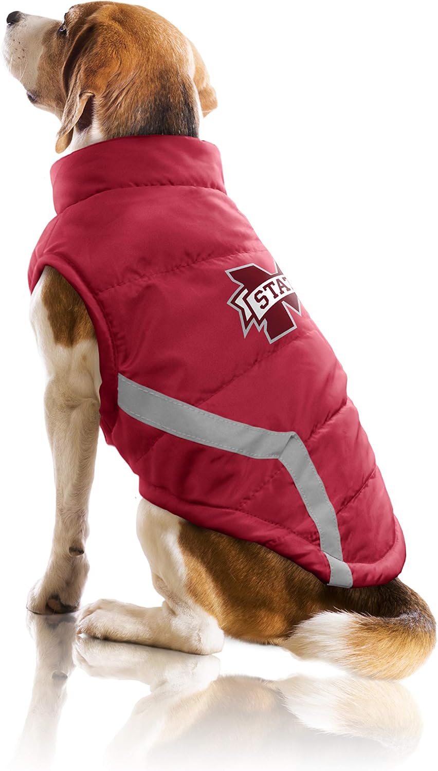 Littlearth NCAA Unisex-Adult Classic
