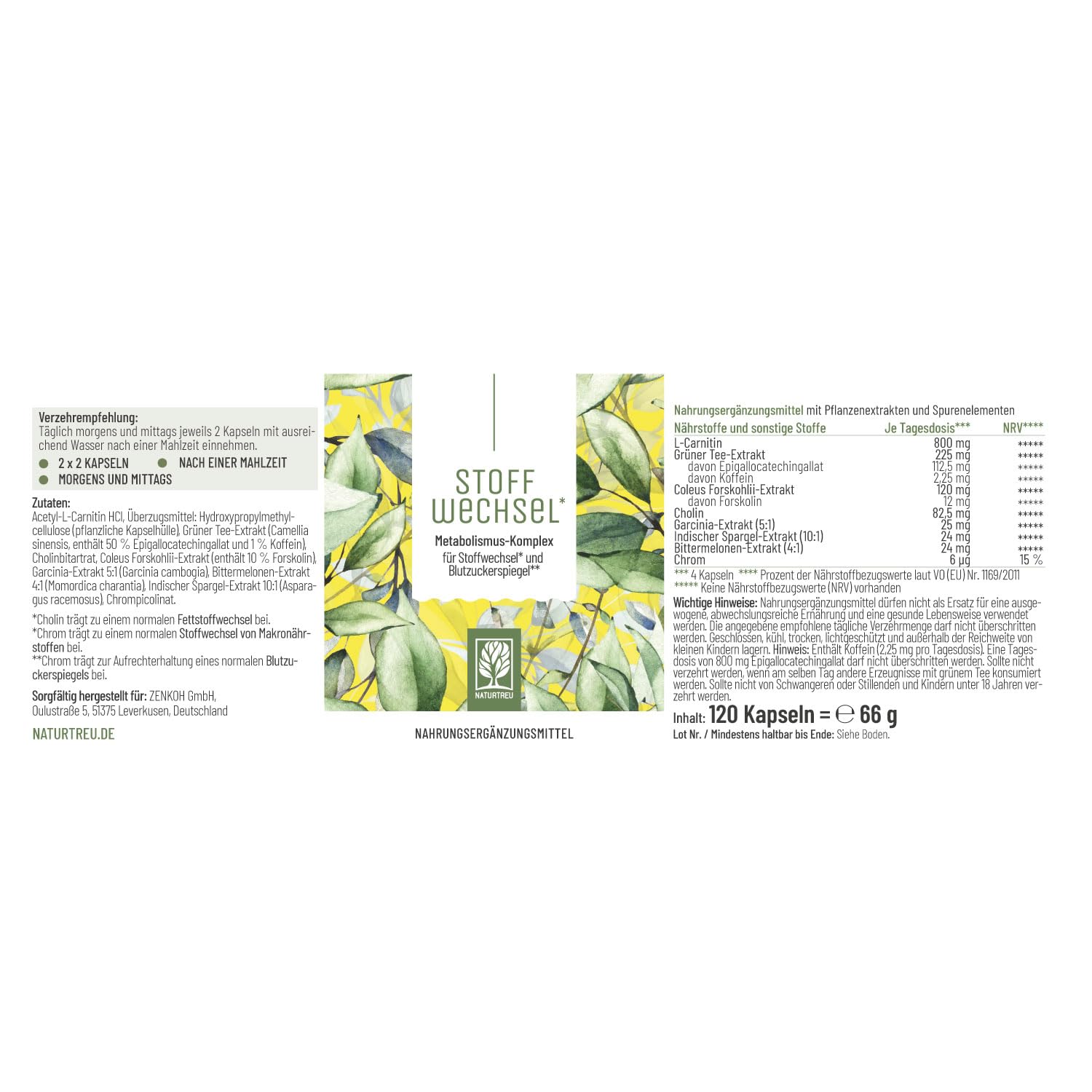 NATURTREU® Stoffwechsel Kapseln Diät Unterstützung - Hochdosiert mit Grünem Tee, Forskohlii, Cholin, Spargel, Bittermelone, Garcinia Cambogia & Chrom - 120 Stoffwechsel Kapseln vegan
