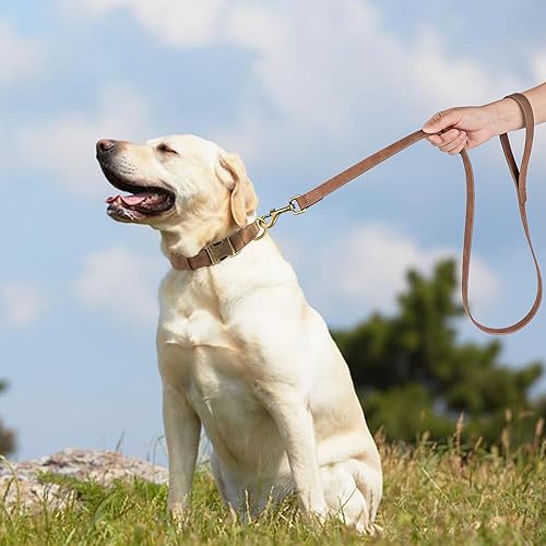 Miniatura 3 de Didog Collar de perro de cuero suave, collares de perro duraderos y resistentes con hebilla de metal de liberación rápida, collar de perro ajustable
