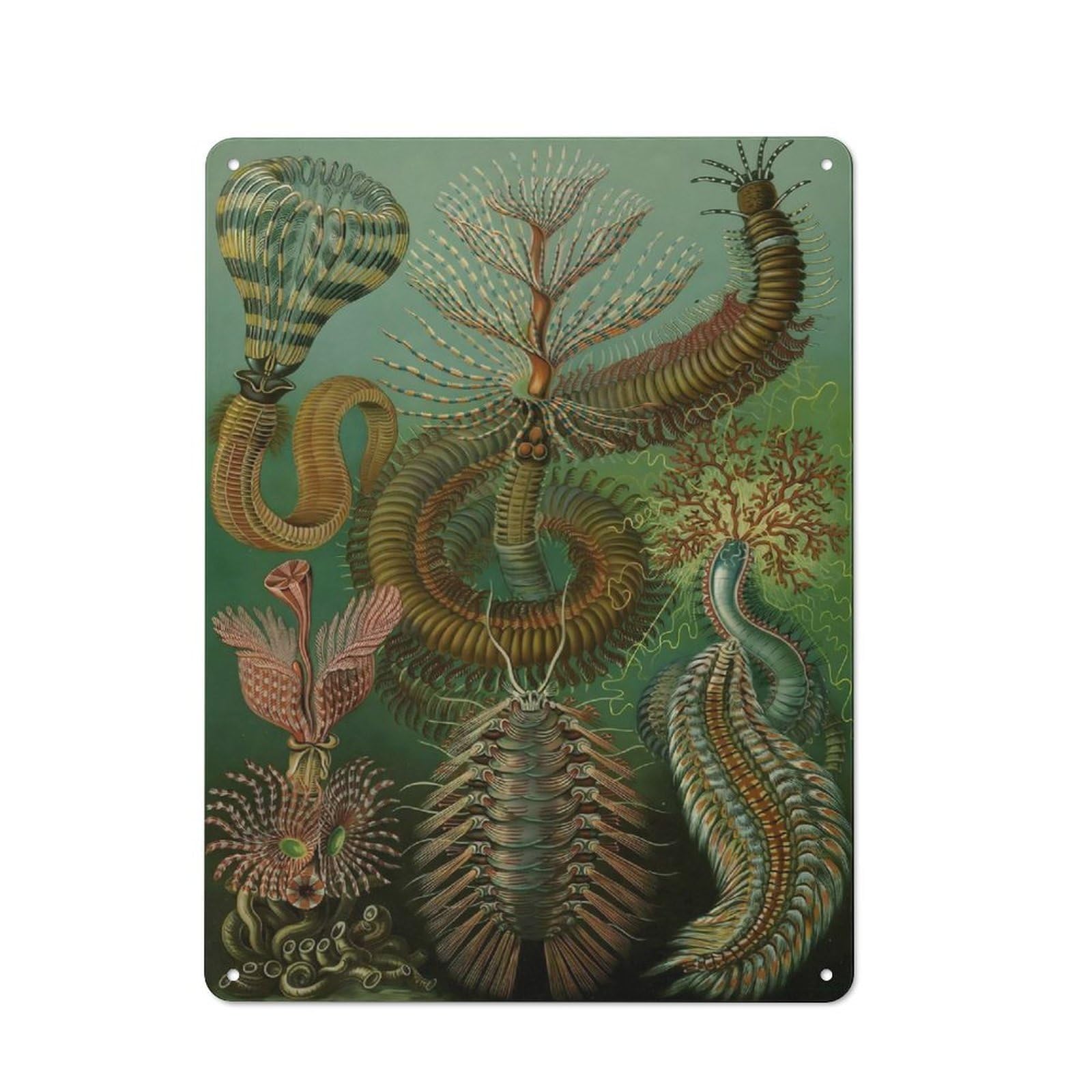 Junmoney Style-4 Tin Wall Plaque 40X30cm With 1904 Chaetopoda For Café Or Restaurant, Housewarming Present For People Styling Café And Restaurant
