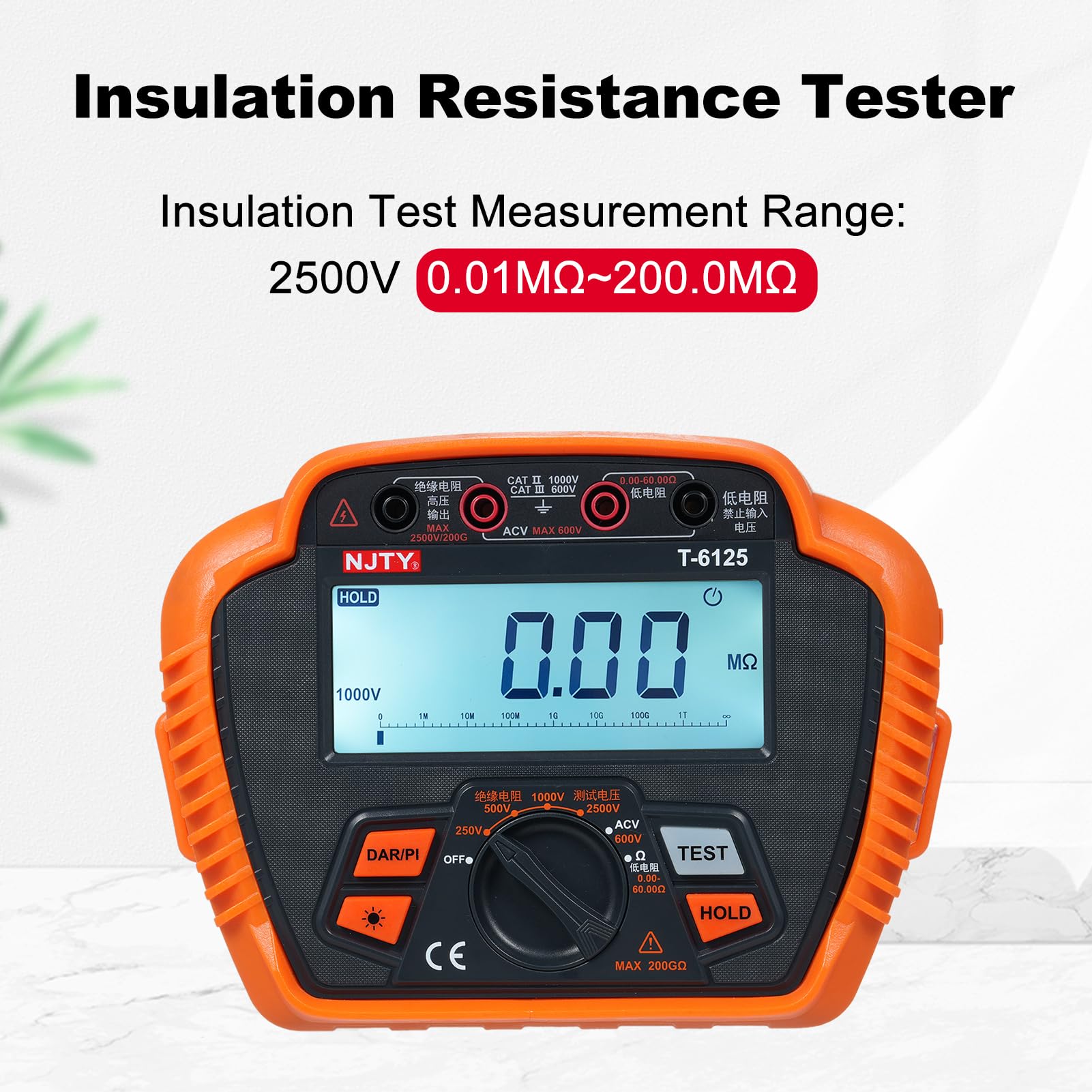 Megohmmètre Testeur de Résistance D'isolement 100V-2500V 0.01 MΩ ~ 200.0 GΩ Gamme Automatique avec Maintien des Données