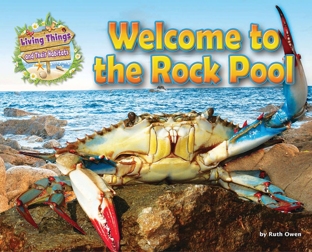 Ruth Owen - Welcome to the Rock Pool - Paperback Book