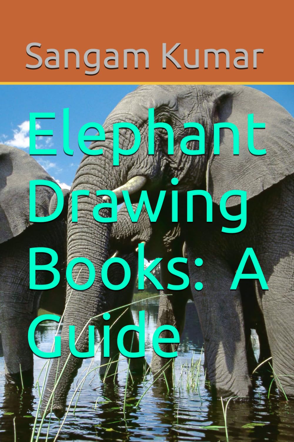 Elephant Drawing Books Guide pour surmonter la peur de dessiner les animaux