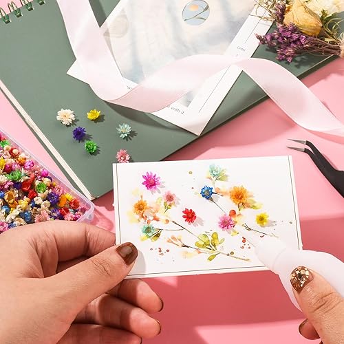 Vista 6 de 710 flores secas para manualidades de resina, pequeñas flores secas para uñas, flores secas prensadas pequeñas naturales reales para joyas, aretes