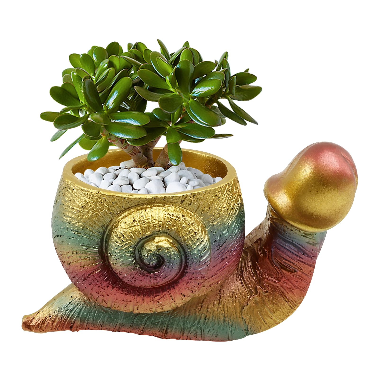 Foppla Snail Planter Cute Resin Succulent Pots Unique Snail Flower Pot Decorative Snail Succulent Planter Small Resin Flower Pots Snail Statue Fun Planter for Outdoor Garden Home