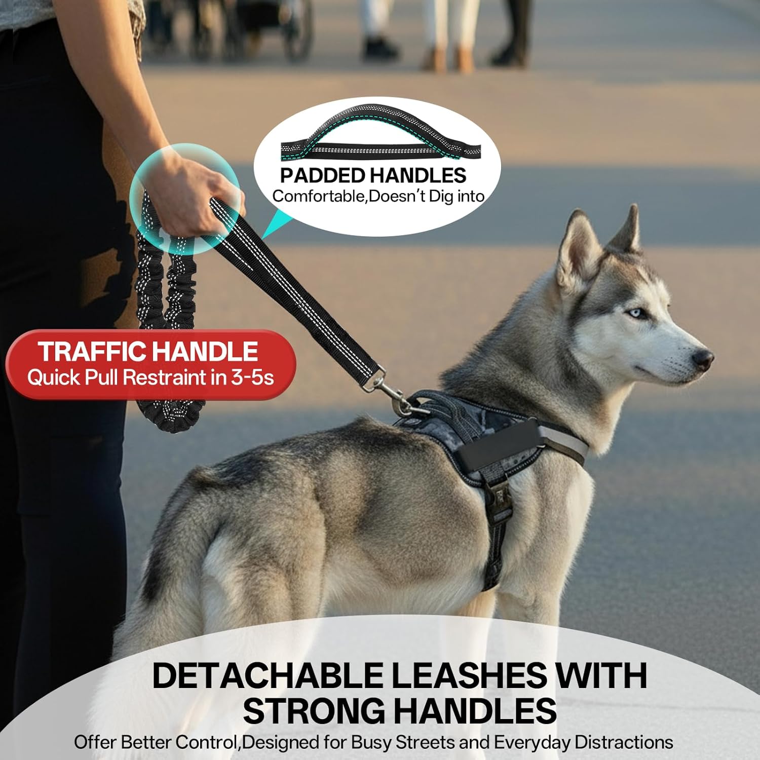 Hands Free Double Dog Leash for Two Dogs,Upgrade 200LB Heavy Duty Retractable with Partitioned Waist Pouch Adjustable Waist for Medium Large Park Walking Running Jogging Hiking Biking Training
