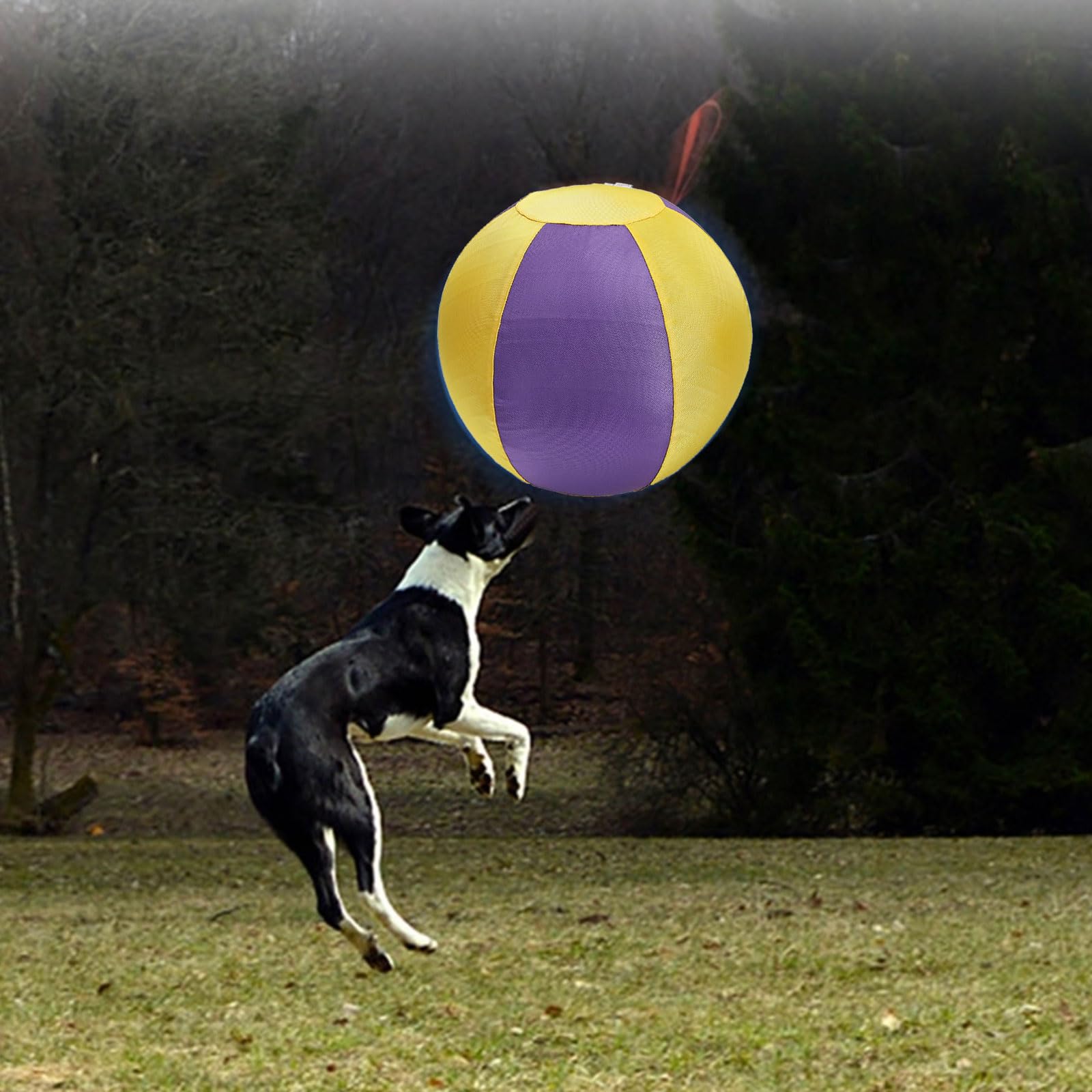Balle gonflable pour chien à configuration rapide et divertissement, parfaite pour les moments de jeu