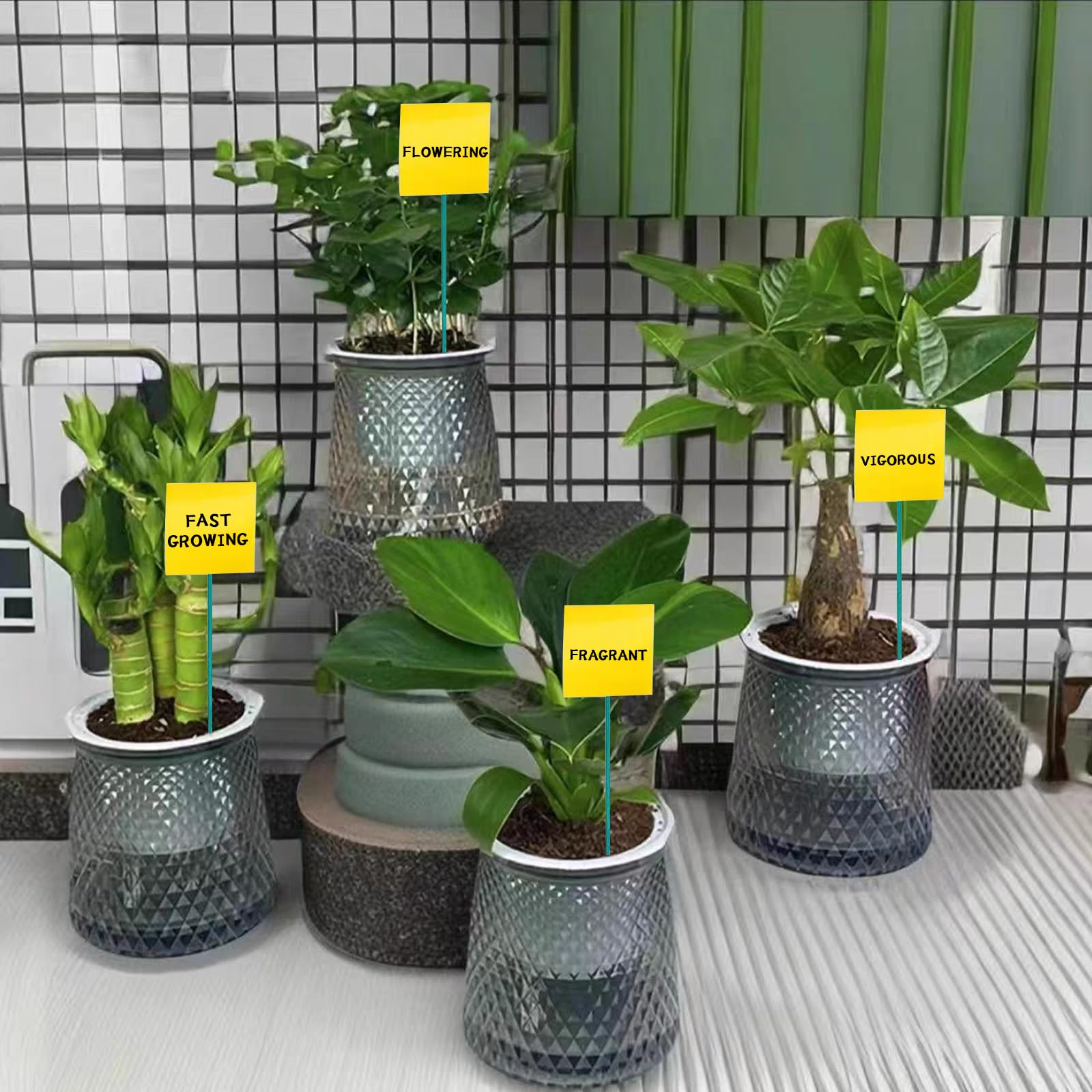 8-Quart Digital Air Fryer