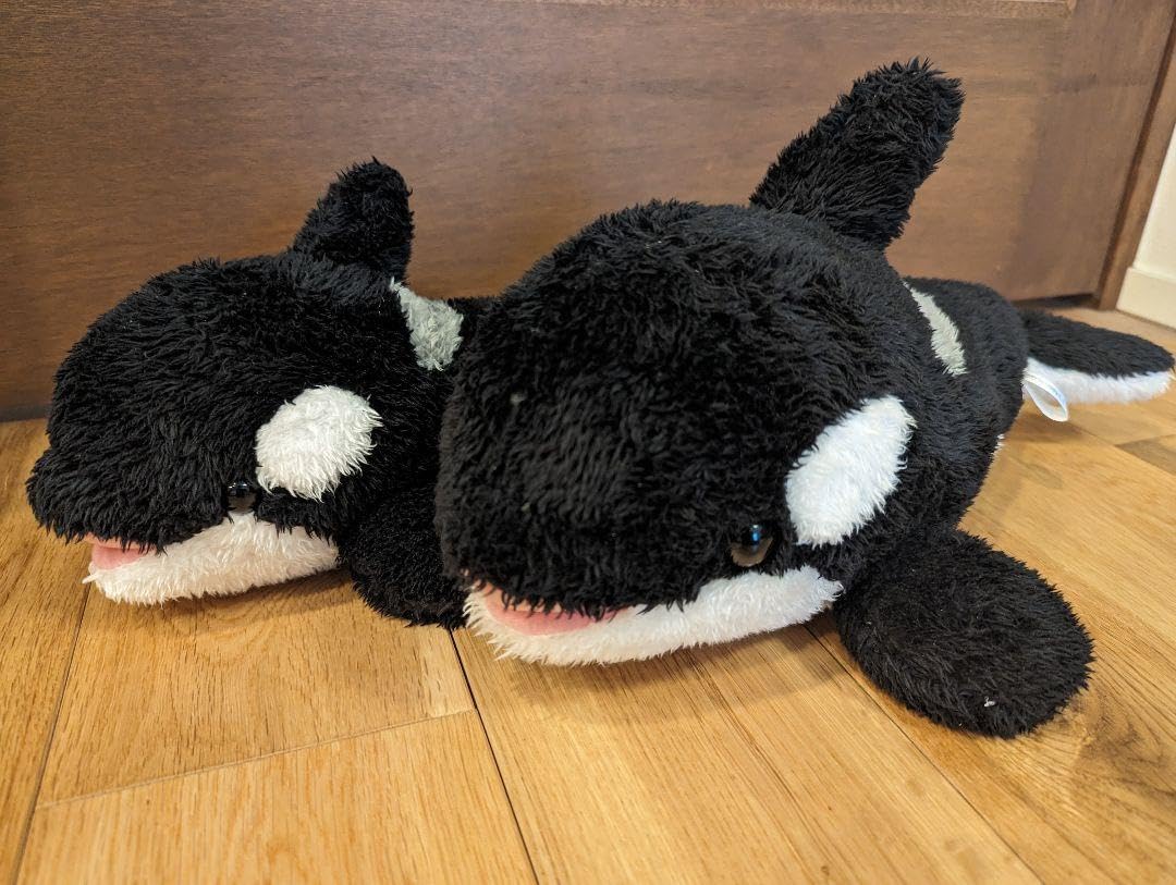 Amazon.co.jp: 鴨川シーワールド シャチのぬいぐるみ2体セット : おもちゃ