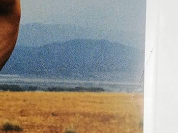 Amazon.co.jp: Ryan McGinley/You and I ライアン・マッギンレー