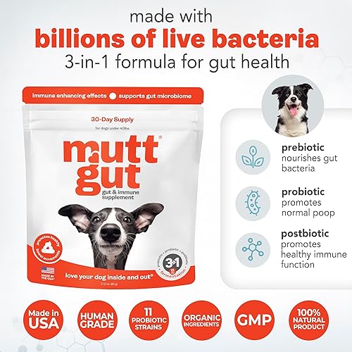 Miniatura 4 de Suplemento en polvo 3 en 1 totalmente natural para perros, prebióticos y posbióticos, probióticos para perros con 135 mil millones de UFC,