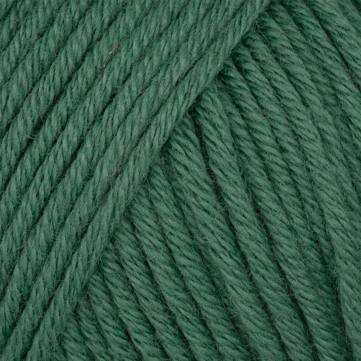 Babysoft Cotton Yarn, Yarn E-verse, 100% Organic Cotton, Soft & Hypoallergenic, Ideal for Baby Knitting, Crocheting, Amigurumi & DIY Projects, Organic Textile Certified, 50g (3, 127 Dark Green)