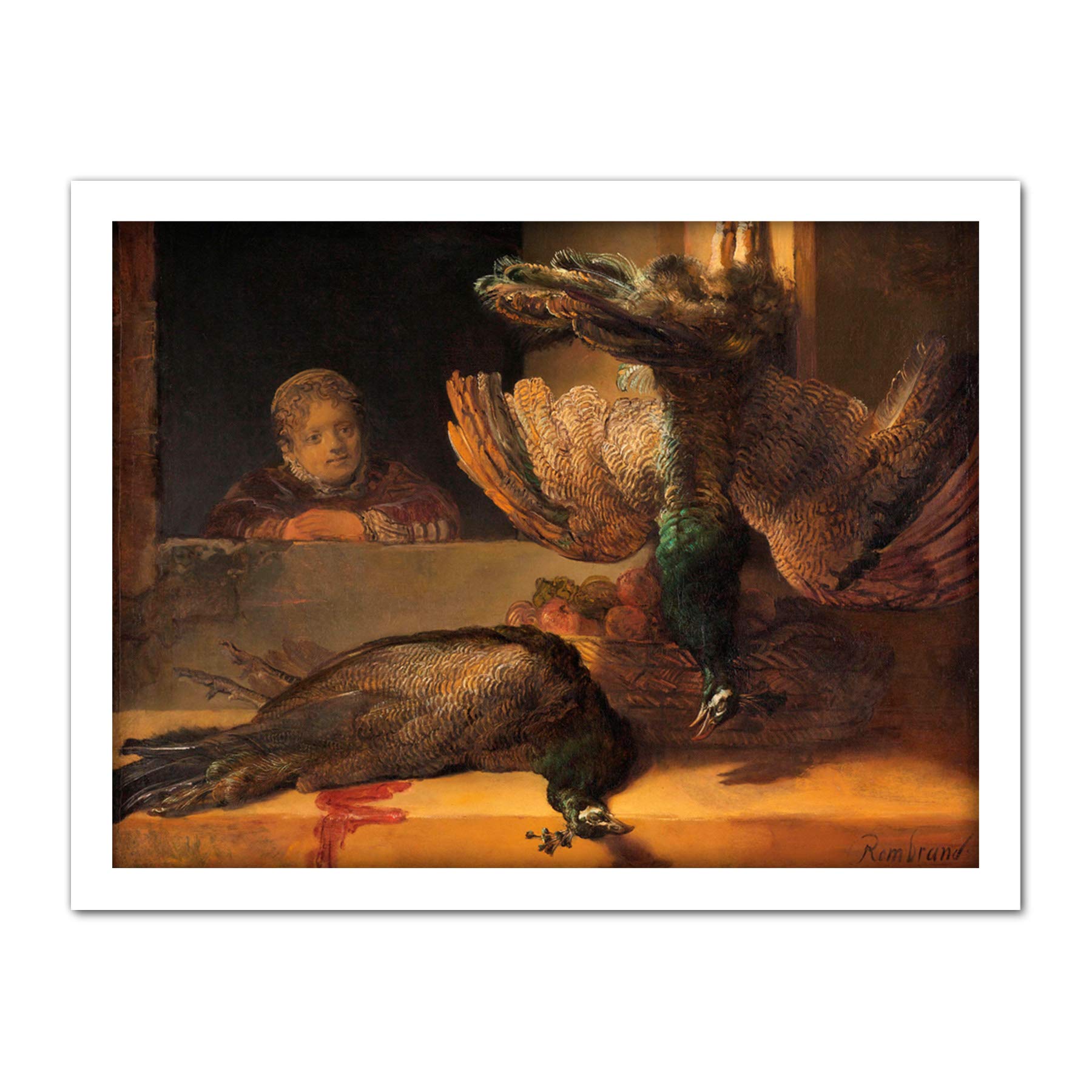 Artery8 Rembrandt Still Life With Peacocks Painting Artwork Framed Wall Art Print 18X24 Inch