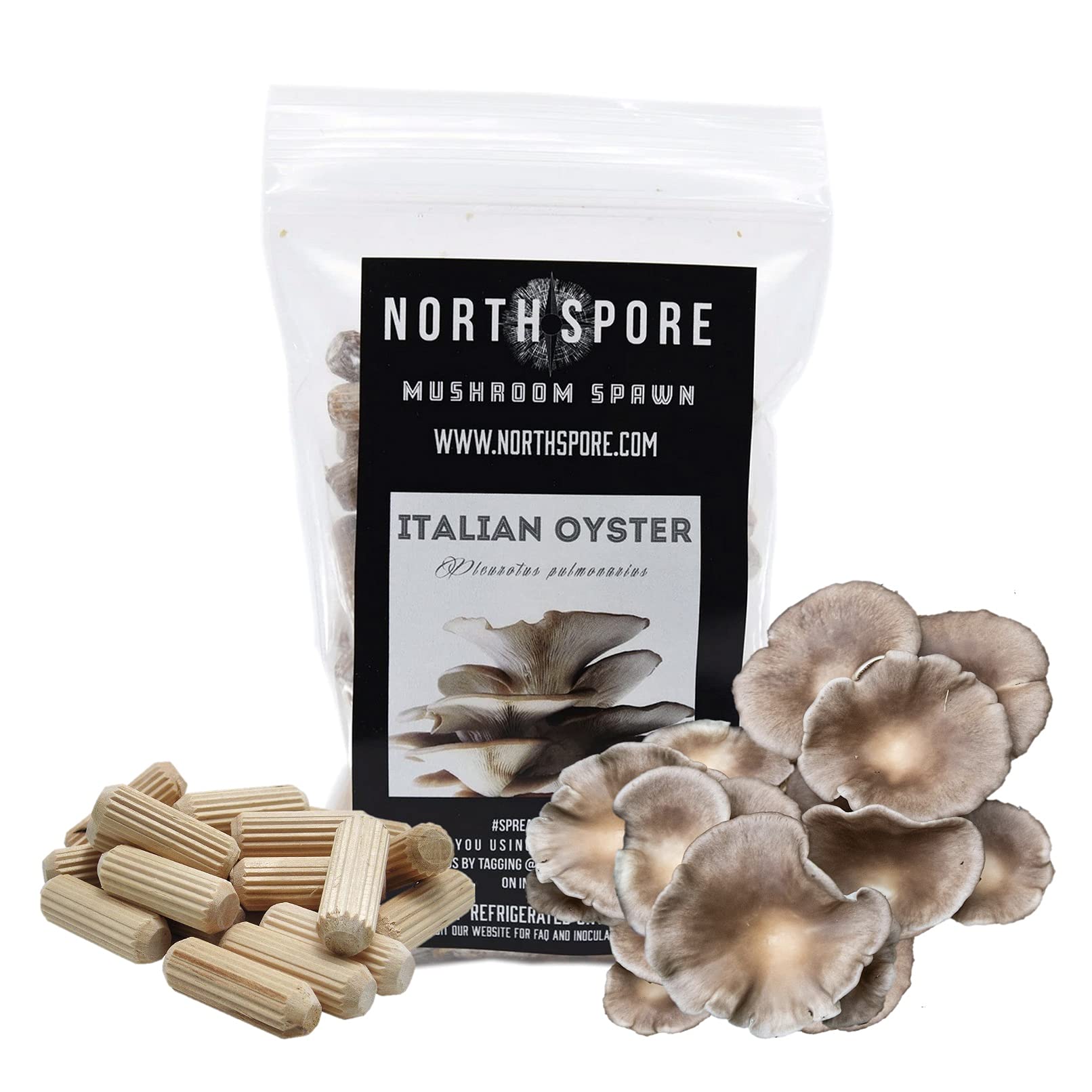 Amazon.com : North Spore Italian Oyster Mushroom Plugs, 100 Count Premium  Quality Mushroom Plug Spawn, Made in USA, Grow Mushrooms on Logs, Easy to  Use, Gourmet Culinary Mushrooms, Medicinal Mushrooms : Patio,