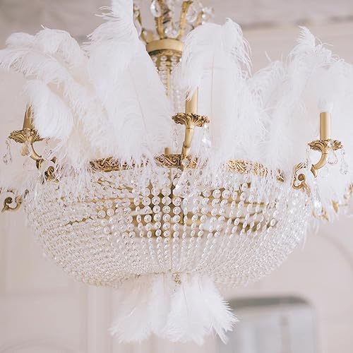 Miniatura 7 de Tigeen 200 plumas de avestruz blancas a granel de 8-10 pulgadas para el hogar, manualidades, decoración, centros de mesa, decoración para jarrón,