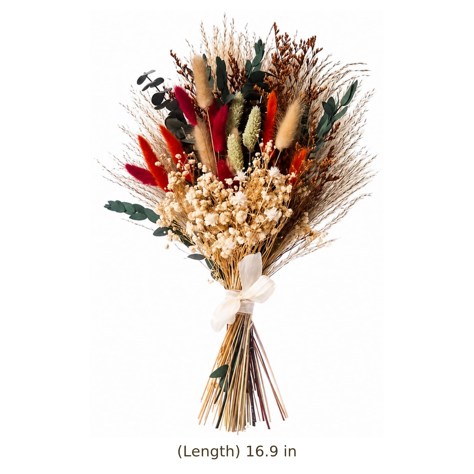 Bouquet de Fleurs séchées Naturelles, 55 tiges avec 10 Herbes variées, Composition Florale préservée Multicolore au Rendu Naturel, 43 cm de Haut, pour déco bohème, Bureau, Salon, Chambre