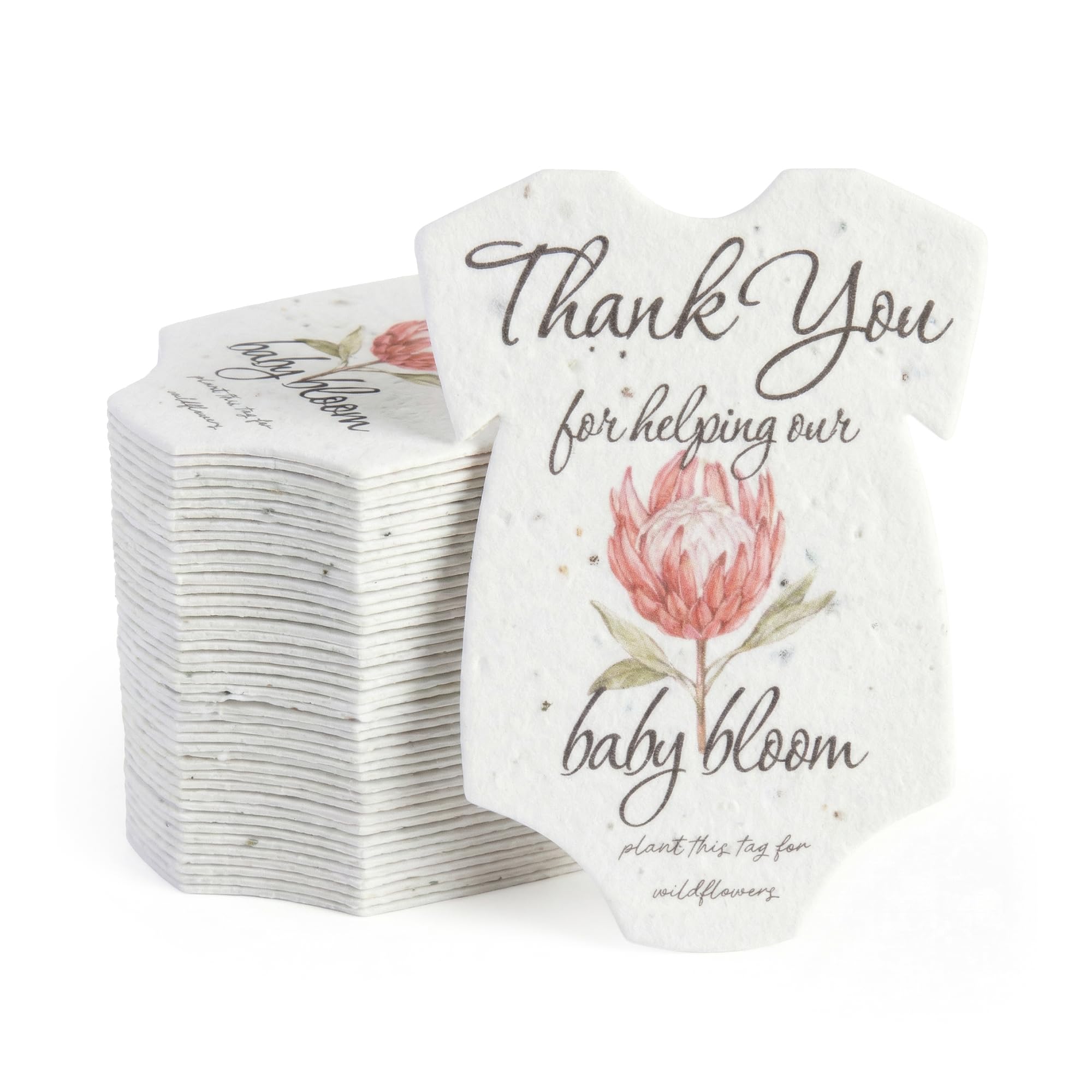 Seed Bloom Protea Onesie-Shaped Gift Tags